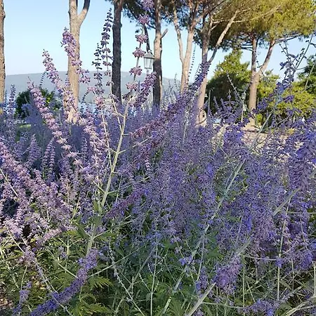 La Colombaia Nel Castello